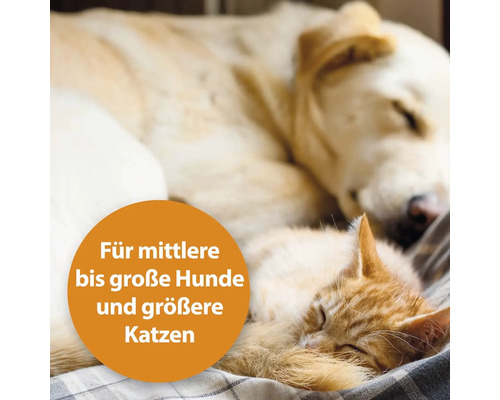 Schlafender Hund und Katze auf einem Kissen. Geeignet für mittelgroße bis große Hunde und größere Katzen.