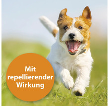 Laufender Hund mit dem Text: Mit repellierender Wirkung