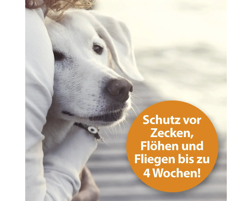 Hund wird von einer Person umarmt, Hinweis zum Schutz vor Zecken, Flöhen und Fliegen bis zu vier Wochen
