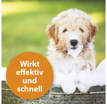 Welpe in Wanne mit Schaum, Text: Wirkt effektiv und schnell