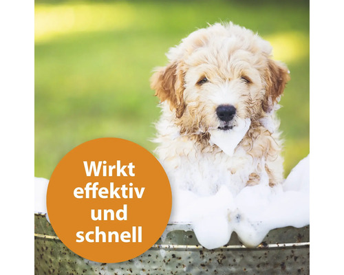 Welpe in Wanne mit Schaum, Text: Wirkt effektiv und schnell