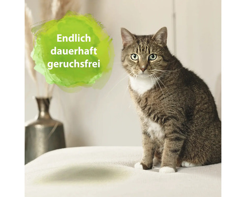 Getigerte Katze sitzt auf einer Decke mit der Aufschrift: Endlich dauerhaft geruchsfrei.