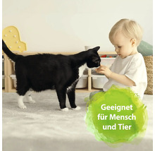 Ein Kind gibt einer Katze ein Leckerli in einem Wohnzimmer.