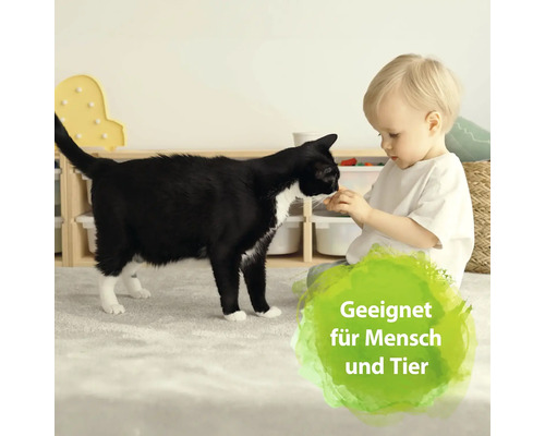 Ein Kind gibt einer Katze ein Leckerli in einem Wohnzimmer.