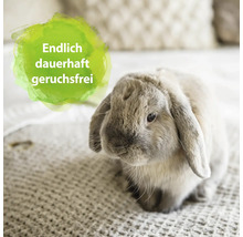 Hase auf Decke mit dem Text: Endlich dauerhaft geruchsfrei