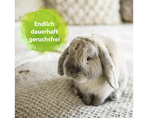 Hase auf Decke mit dem Text: Endlich dauerhaft geruchsfrei