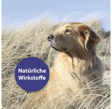 Heller Hund im Gras mit dem Text Natürliche Wirkstoffe