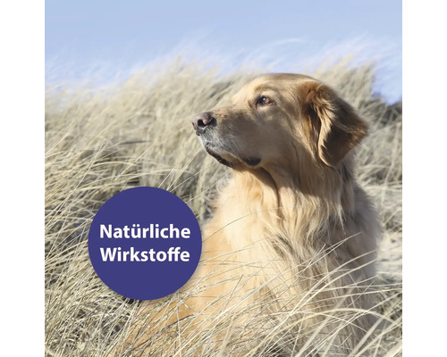 Heller Hund im Gras mit dem Text Natürliche Wirkstoffe