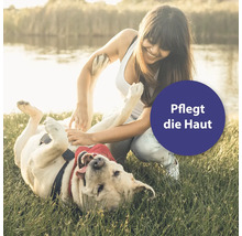 Frau spielt mit Hund im Gras: Pflegt die Haut