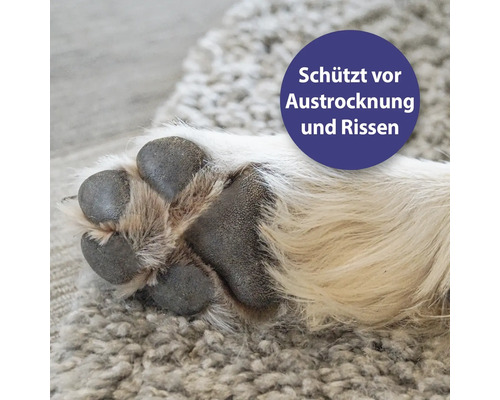 Hundepfote schützt vor Austrocknung und Rissen