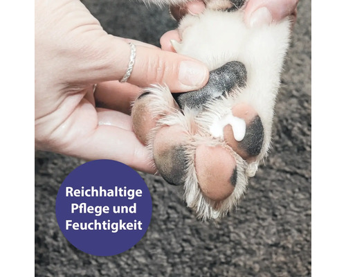 Hundepflege mit Feuchtigkeitscreme