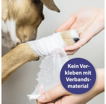 Wundpflege Canosept® Wundgel für Hunde 20 ml geruchs- und farblos für eine optimale Wundversorgung bei tierischen Verletzungen