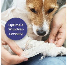 Wundpflege Canosept® Wundgel für Hunde 20 ml geruchs- und farblos für eine optimale Wundversorgung bei tierischen Verletzungen