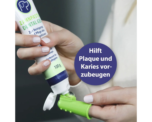 Anwender füllt Hunde-Zahnpasta auf einen Fingerling