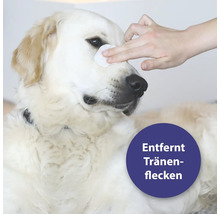 Hund wird mit einem Tuch das Fell gereinigt