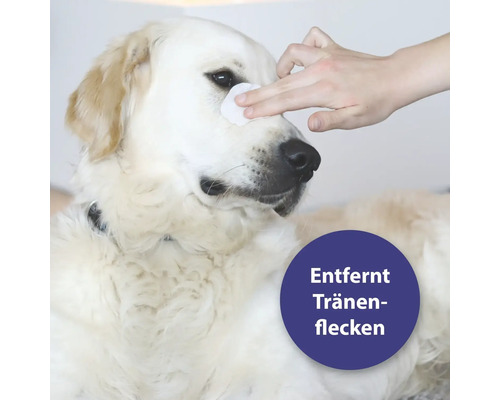 Hund wird mit einem Tuch das Fell gereinigt