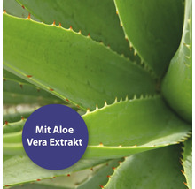 Aloe Vera Pflanze mit dem Hinweis Mit Aloe Vera Extrakt