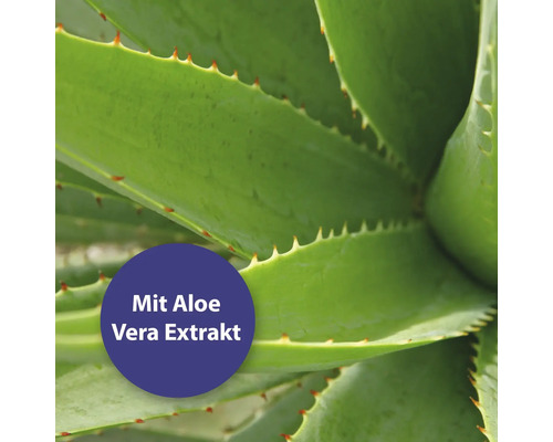 Aloe Vera Pflanze mit dem Hinweis Mit Aloe Vera Extrakt