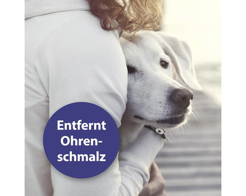 "Eine Person umarmt einen Hund, der einen Aufkleber mit der Aufschrift ""Entfernt Ohrenschmalz"" trägt."