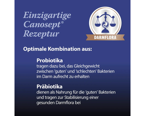 Canosept Rezeptur mit Probiotika und Präbiotika für die Darmflora