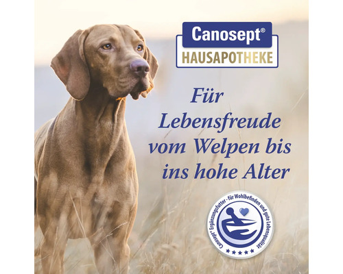 Canosept veterinary product advertisement featuring a Vizsla dog, with the text ''Für Lebensfreude vom Welpen bis ins hohe Alter'' (For joy of life from puppy to old age).