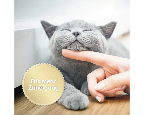Eine graue Katze wird von einer Hand gestreichelt. Ein Aufkleber mit dem Text Für mehr Zuneigung befindet sich im Bild.