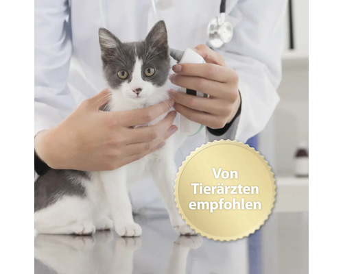 Tierarzt untersucht Katze mit Otoskop, empfohlen von Tierärzten