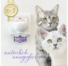 Feliasept Family Com Nachfüllstecker mit zwei Katzen