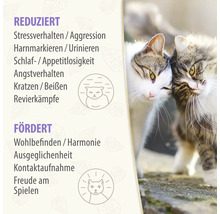Informationen zur Reduzierung von Stressverhalten, Harnmarkierungen, Appetitlosigkeit, Angstverhalten, Kratzen und Revierkaempfen sowie zur Foerderung von Wohlbefinden, Ausgeglichenheit, Kontaktaufnahme und Spielfreude bei Katzen.