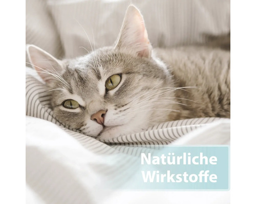 Graue Katze liegt auf einem Kissen mit der Aufschrift Natürliche Wirkstoffe