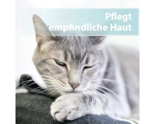 Eine Katze pflegt ihre Haut.