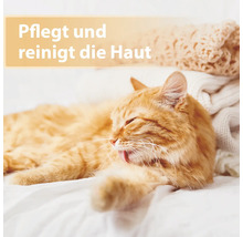 Eine entspannte, orangefarbene Katze pflegt ihr Fell auf einer weißen Decke.