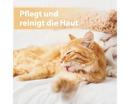 Eine entspannte, orangefarbene Katze pflegt ihr Fell auf einer weißen Decke.
