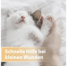 Katze wird am Bauch gehalten, Text: Schnelle Hilfe bei kleinen Wunden