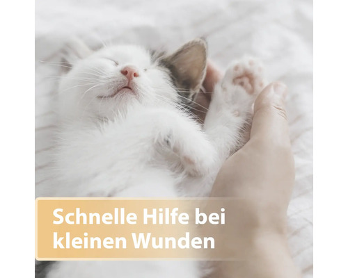 Katze wird am Bauch gehalten, Text: Schnelle Hilfe bei kleinen Wunden