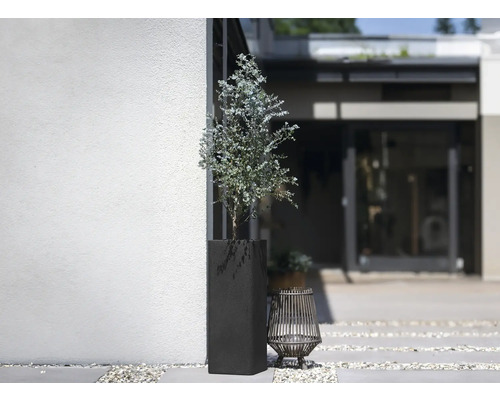 Außenszene mit Pflanze in einem hohen, dunklen Pflanzgefäß und einer Dekolaterne