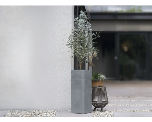 Beton Blumentopf mit Pflanze im Außenbereich