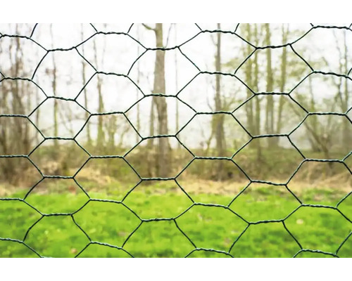 Nahaufnahme von Sechseckgeflecht im Garten