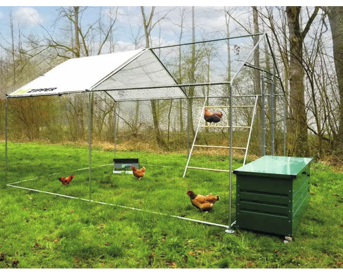 Freilaufgehege mit Hühnern, Leiter und Hühnerhaus im Garten