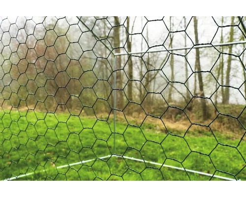 Nahaufnahme eines Geflügelzauns im Garten