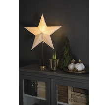Dekorative Szene mit beleuchtetem Stern, Zwiebelpflanzen und kleinem Tannenbaum auf einem Schrank