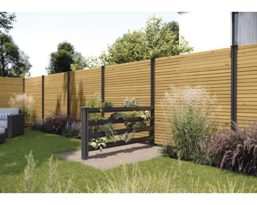 Gartenszene mit Holzzaun und Pflanzenwand