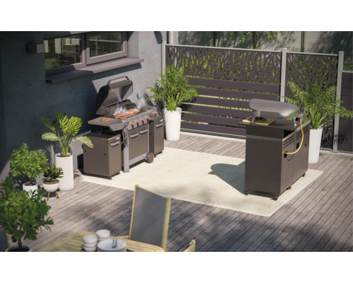 Außenbereich mit Grill, Pizzaofen, Pflanzen und Sichtschutz