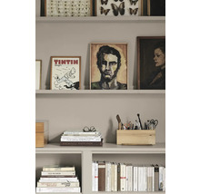 Regal mit Büchern, Bildern und Büroartikeln für ein organisiertes Arbeitszimmer