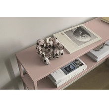 Dekoratives Rankenfuß-Arrangement auf einem Regal mit Büchern.