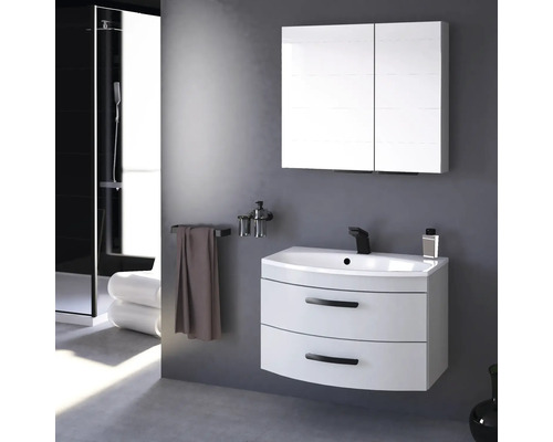 Modernes Badezimmer mit Waschbeckenunterschrank, Spiegelschrank und Dusche