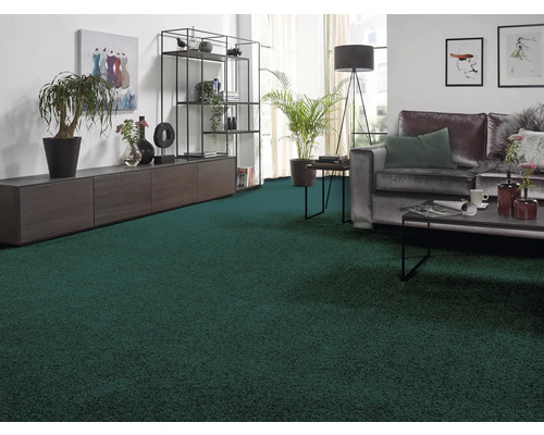 Wohnzimmer mit Sofa, Couchtisch, Regal und dunkelgrünem Teppichboden.