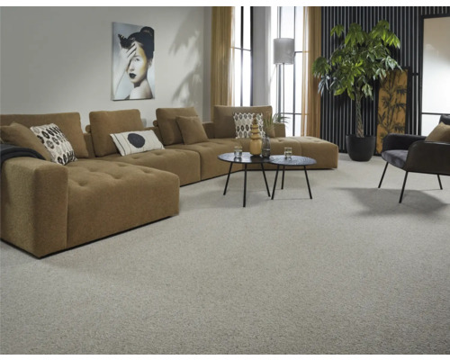 Wohnzimmer mit Sofa, Tisch, Sessel, Zimmerpflanze und Teppich