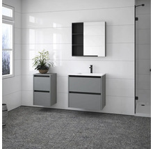 Modernes Badezimmer mit Waschbeckenunterschrank, Spiegelschrank und Pflanze
