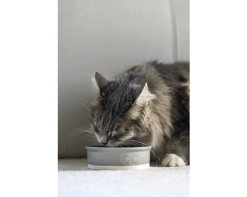 Eine Katze frisst aus einem grauen Futternapf von Designed by Lotte.